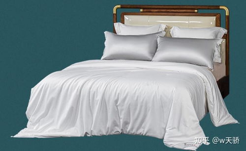 蠶絲被什么品牌值得推薦 兒童 春秋蠶絲被推薦十大品牌,太湖雪 富安娜 水星家紡蠶絲被哪個牌子好
